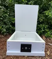 Australian Native Bee Hive Flat Observation Stingless BeeHive Budding Only