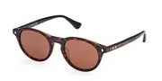 Web WE0337 56E Men's Sunglasses Tortoiseshell Size 50
