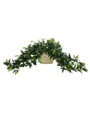 Creative Displays Ruscus Arrangement In Ceramic Pot