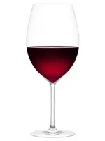 Plumm Vintage Red A Wine Glasses, Set of 2