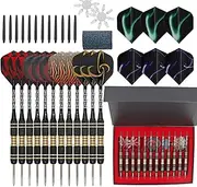Ariv Hommey 12PCS 22g Iron Tip Dart Flights Aluminum Barrel Flights Darts with Strage Case Box