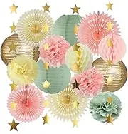 YUNXUAN Sage Green Party Decorations, Sage Green Paper Lanterns Tissue Pom Poms Paper Fans Honeycomb Decorations for Baby Shower Bridal Shower Wedding Birthday Party
