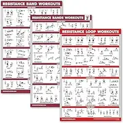 Palace Learning 3 Pack: Resistance Bands Workouts Volume 1 & 2 + Resistance Loops Exercises Poster Set - Set of 3 Workout Charts