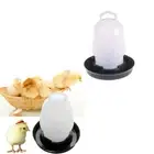 Automatic Pet Feeder Chicken Quail Poultry Bird Pheasant Feed Water Tool BH