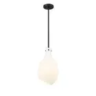 Innovations Salem 1 Light 8.5" Mini Pendant, Black/Frosted - 493-1S-BK-G551-9