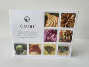 OuiSi Original Games of Visual Connection. BRAND NEW