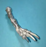 High Elf Dragon Part - "Dragon Right Arm" (Warhammer Fantasy) - Metal OOP
