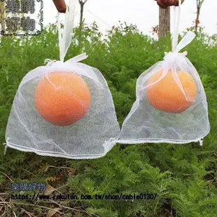 果實套袋水果保護袋防鳥 防蟲網袋 紗袋透氣 ※下標滿500出貨哦！