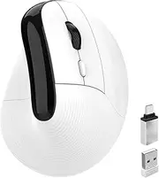 Quntee Bluetooth Wireless Vertical Mouse, Wireless USB C Rechargeable Mouse Carpal Tunnel Silent Mouse, 4000 DPI Type-C Computer Mouse for Laptop/Tablet/PC/MacBook Air Pro/Windows (White)