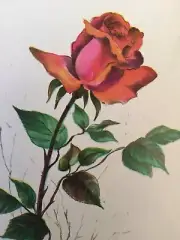 Vintage RARE Lot 18 Funtusy Rose Floral Flowers Assortment Cards Box Envelopes