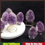 Natural Amethyst Cluster Quartz Specimens Cut Base Crystal Druzy Geode Gemstone