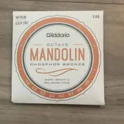 D'Addario Octave Mandolin Strings Phosphor Bronze Medium Loop End