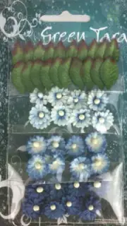 Bright Blue Mimosas (MimBB)