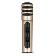Bgn-C7 Condenser Microphone Dual Mobile Phone Karaoke Live Singing Microphone Built-In Sound Card(Gold)