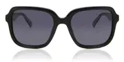 Polaroid PLD 4095/S/X Polarized 807/WJ Men's Sunglasses Black Size 53