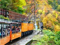 在飛比找雄獅旅遊優惠-經典北陸楓葉季|黑部立山.峽谷鐵道.紅葉名所~上高地.合掌村