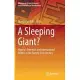 A Sleeping Giant?: Nigeria’’s Domestic and International Politics in the Twenty-First Century