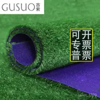 在飛比找蝦皮購物優惠-古索 仿真草坪地毯人造人工假草皮綠色塑料裝飾工程圍擋庭院鋪設