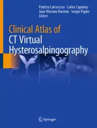 在飛比找博客來優惠-Clinical Atlas of CT Virtual H