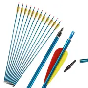 31inch Aluminium Arrows Hunting Bow Arrows for Compound Bow Recurve Bow Arrow