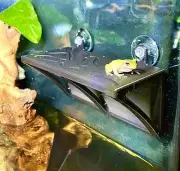 Gecko Frog Hammock Shelf Wall Decor Amphibian Reptile Tank Enrichment Decoration