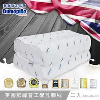 在飛比找PChome24h購物優惠-英國百年品牌Dunlopillo 鄧祿普工學型乳膠枕-二入(