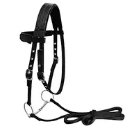 Adjustable Horse Halter - Throat Latch Bridle, 3-Buckle Design, Sturdy Headstall | Durable Plated Halter Secure Fit, Comfortable Control Gear for Training, Riding, Farm