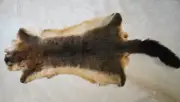Tasmanian Possum Pelt - The Thickest Softest Fur You have ever felt