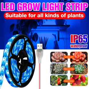 Usb 5V 全光譜溫室水培燈 Led 植物生長燈防水條燈室內植物種植燈