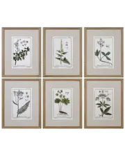 Set of 6 Uttermost Green Floral Botanical Study Prints