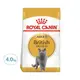 ROYAL CANIN 法國皇家 FBN英國短毛成貓 BS34 乾飼料