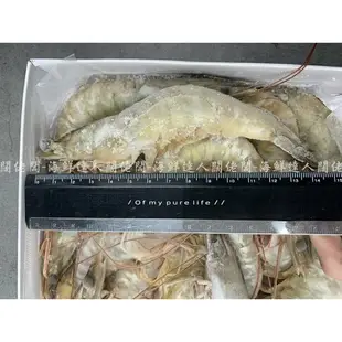 【闊佬闆-海鮮達人】現貨 活凍白蝦 30/40 泰國白蝦 鮮凍大白蝦 白蝦 蝦子