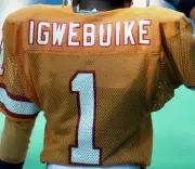 Kicker Donald Igwebuike Tampa Bay Buccaneers looks on from the sid- Old Photo