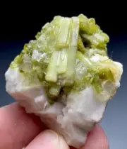 117 CT Green Tourmaline Crystal from Pakistan