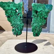 23.03LB Natural malachite Butterfly Wings Crystal Healing Reiki Art+shelf