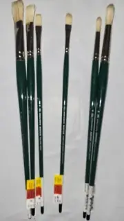 Winsor Newton Winton Hog Hair Brush Set Flat Round Fibert