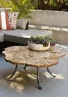 Petrified Agate Stone Live Edge Coffee Table Top, Center Hallway Garden Table