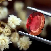 Magnificent Certified 1.12ct Natural Untreated Pinkish Red Ruby Unheated Oval