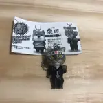 動物日本高校生扭蛋-貓