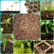 Coconut Coir Coco Peat Organic Soil Media Hydroponics Substrate - Free Shipping