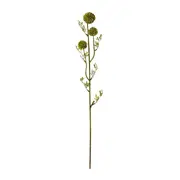 [Sleeping Giant] Seeding Pom Pom Spray Green - 61cm
