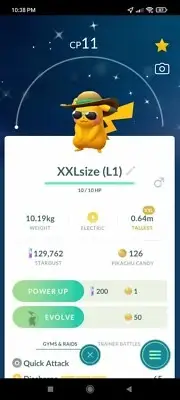 Pokemon Shiny Pikachu LV1 Male XXL Size With Summer Style Hat -TRADE Description
