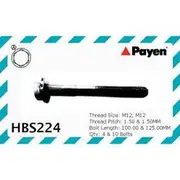 Payen Cylinder Head Bolt Set - HBS224