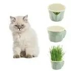 Easy To Grow Cat Grass Box Planter Reusable Grass Sprouter Tray Home