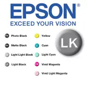 Epson T8507 Light Black 80ml Ink for P800