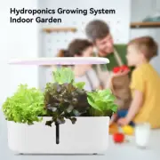 Hydroponics Growing System Indoor Garden Herb Garden Kit Indoor with LED Grow Li