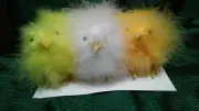VNTG FEATHERED EASTER CHICKS BIRDS 2" TALL TOTAL OF 6 YELLOW, WHITE, & ORANGE