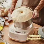 Fully Automatic Kneading Machine 5L Timed Mixing Fermentation Dough Maker