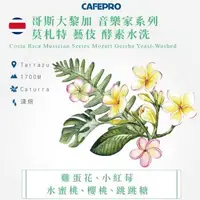 在飛比找森森購物網優惠-CAFEPRO 哥斯大黎加 音樂家系列 莫札特 藝伎 500