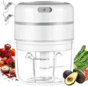 Electric Mini Garlic Chopper Food Dicer Slicer Crusher Powerful 250ml Mini USB